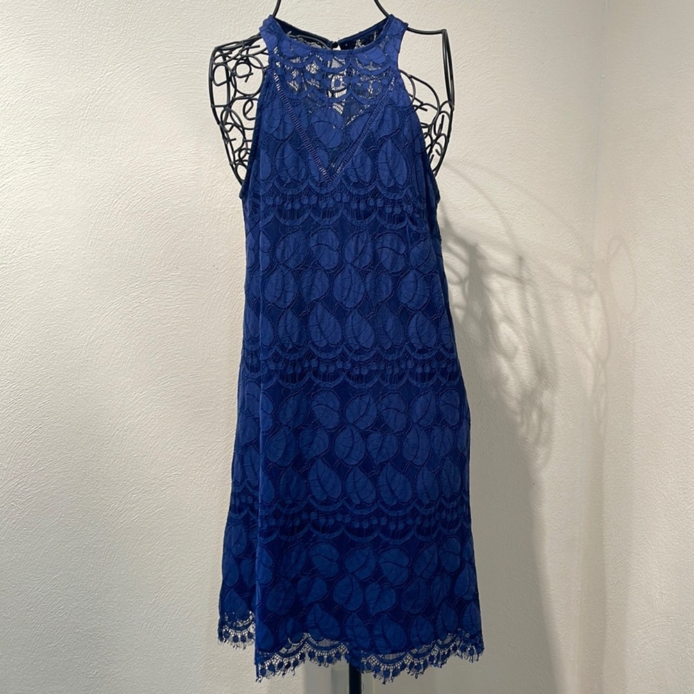 Francesca’s Lace Sleeveless Dress